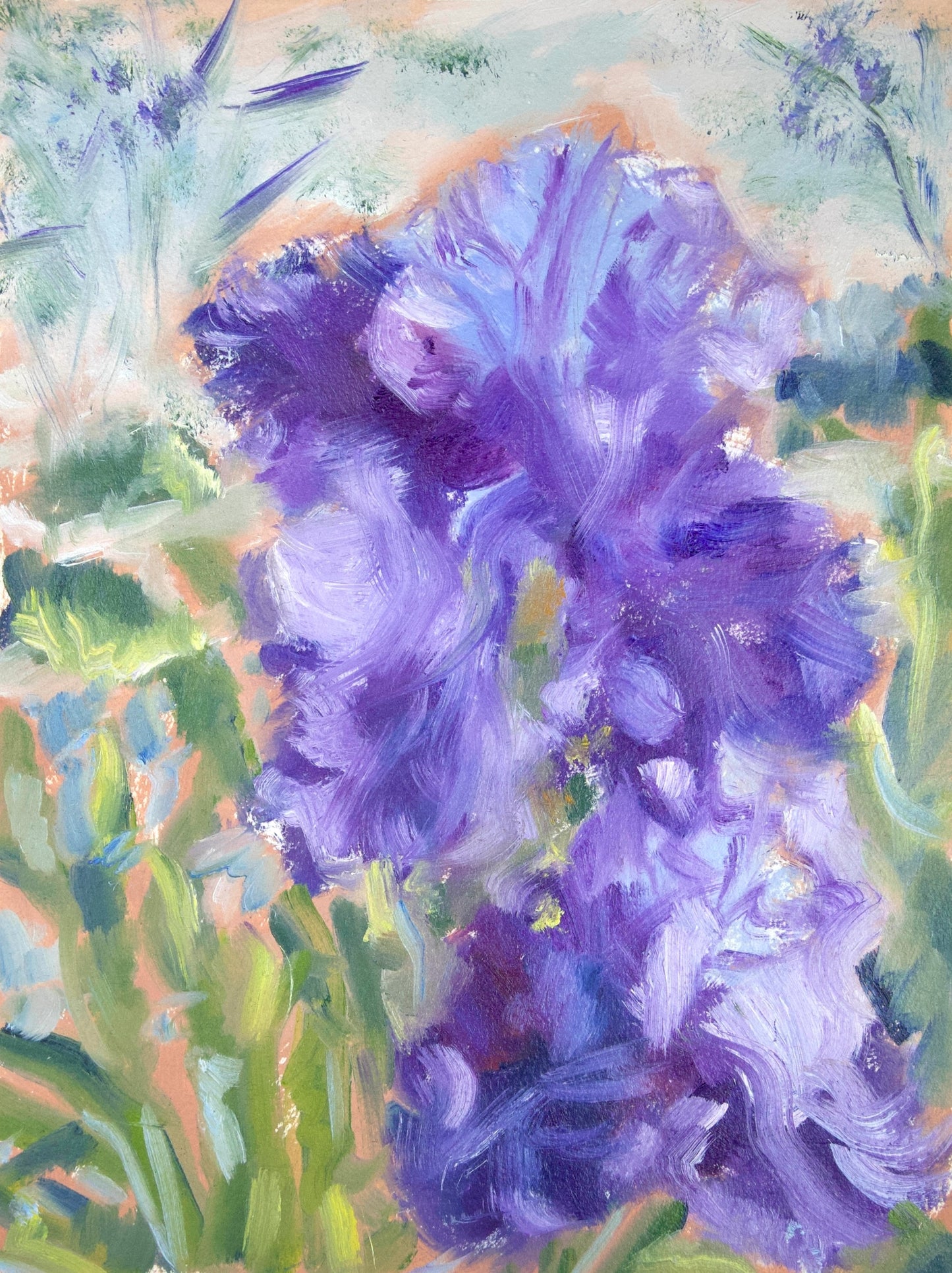 May Irises - Black Frame