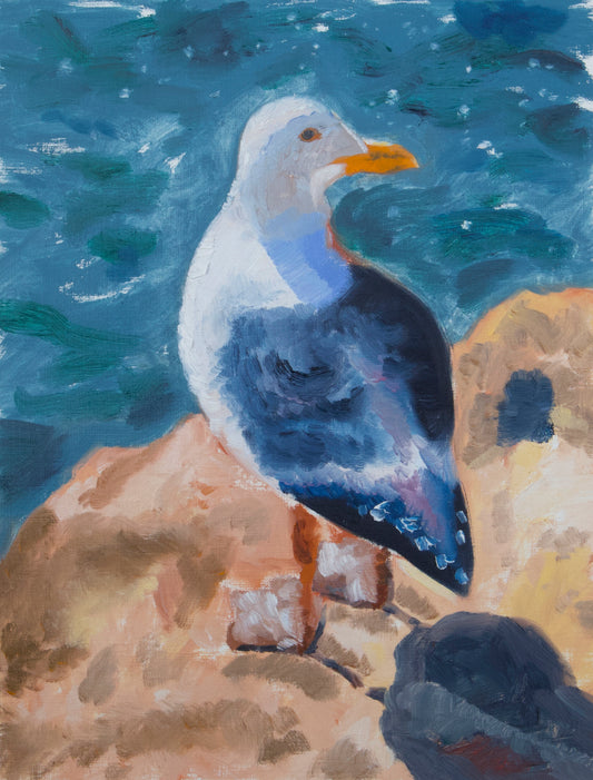 Seagull