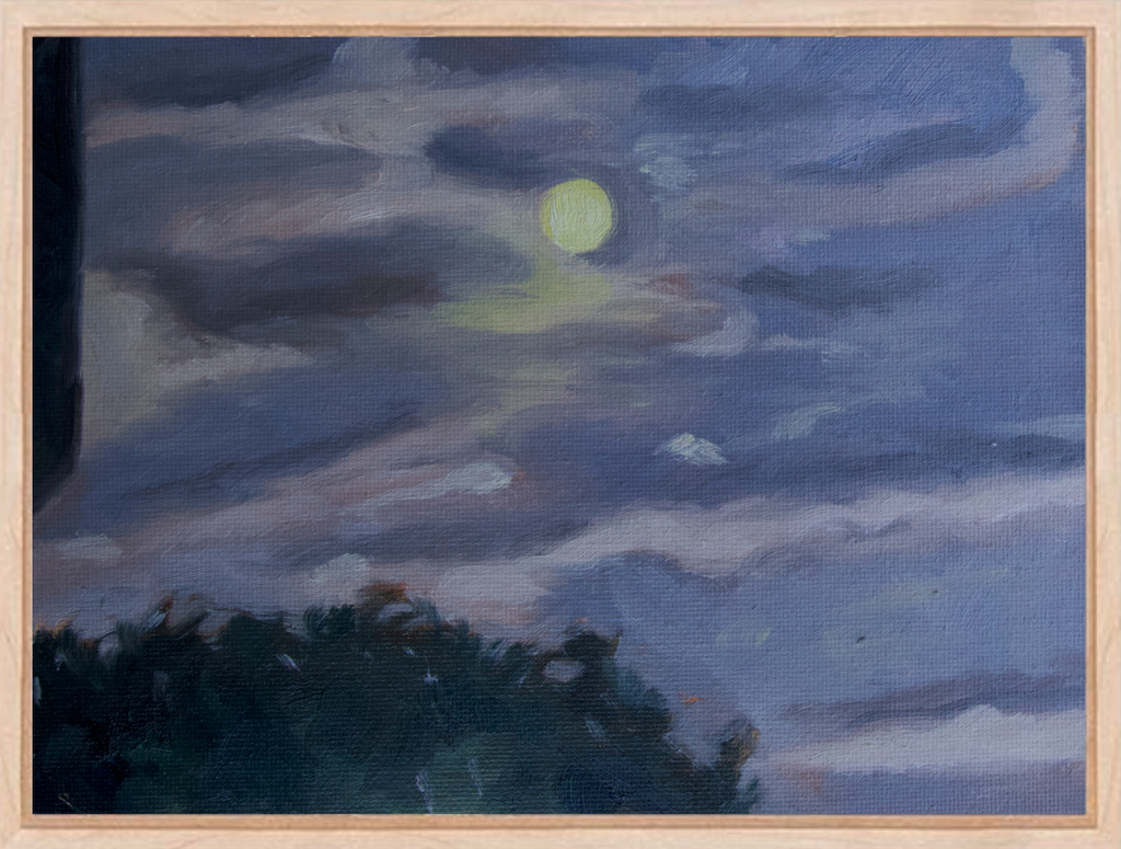 Moonlit Night