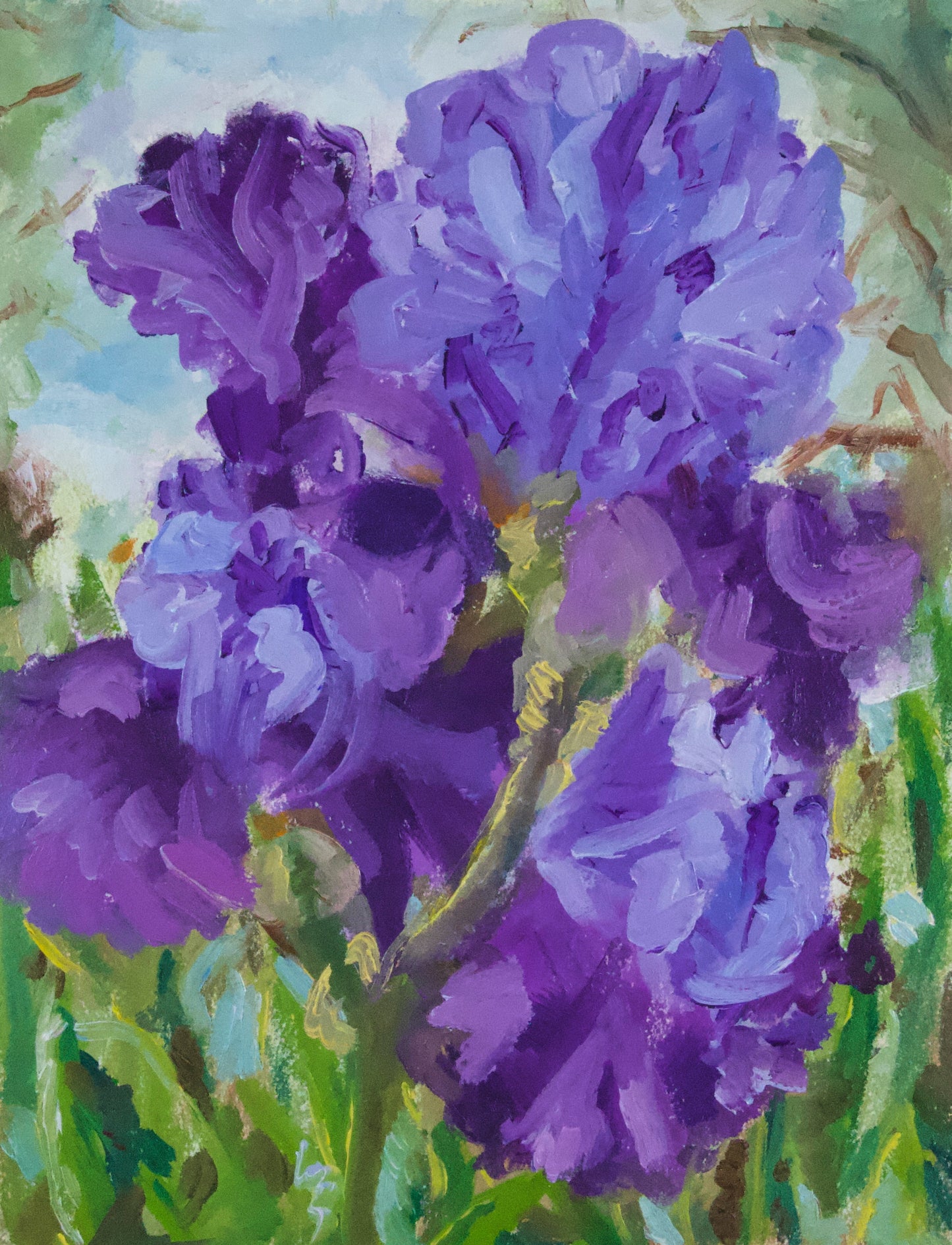 Irises - Unframed