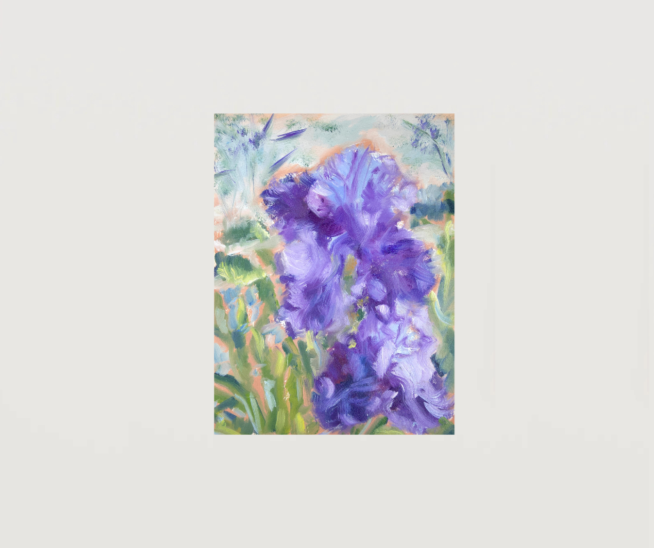 May Irises
