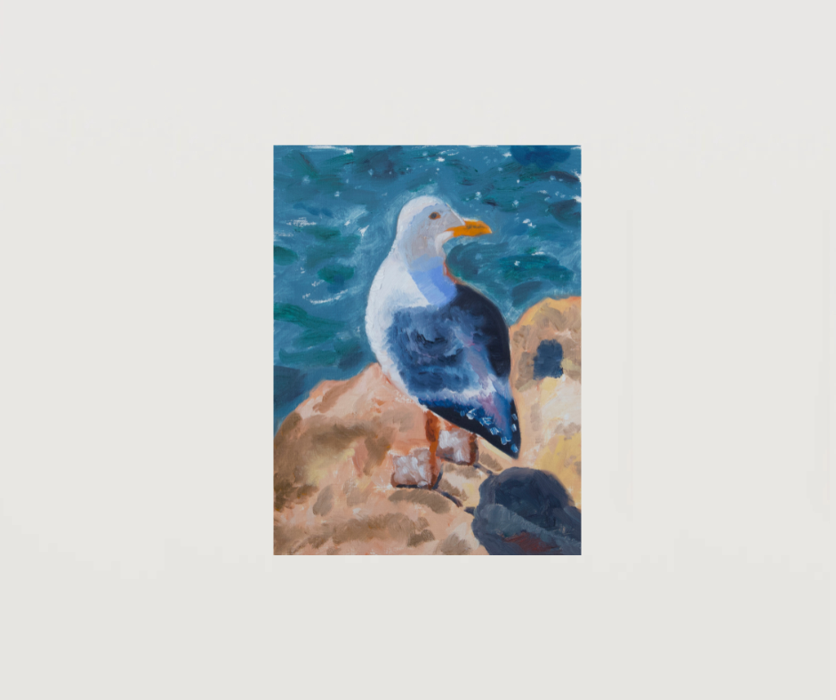 Seagull
